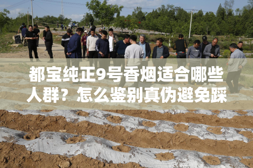 都宝纯正9号香烟适合哪些人群？怎么鉴别真伪避免踩坑？